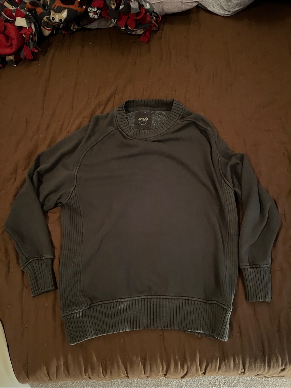 aerie Women's Crewneck Sweater in Olive